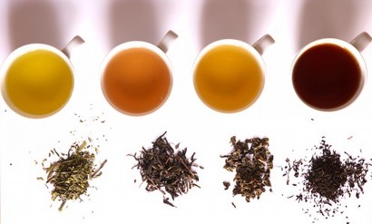 green, yellow, oolong and black tea